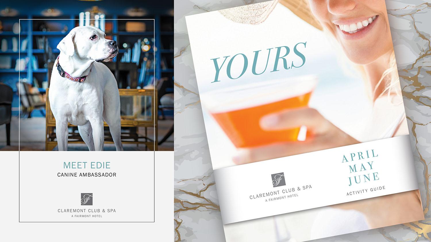 Edie Yours Dog Brochure